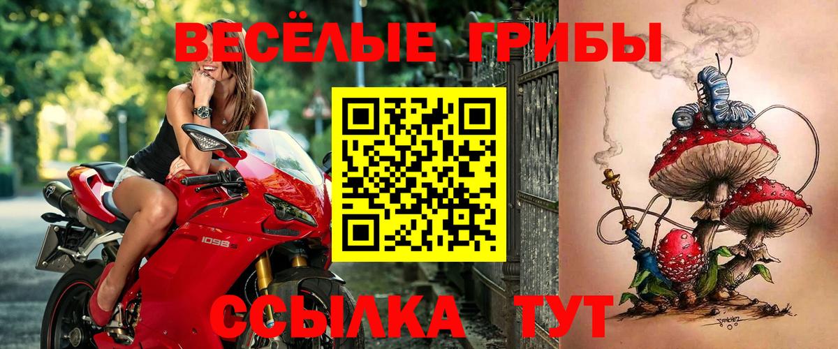 наркота  Псилоцибиновые грибы прущие грибы  Южноуральск  Вход с VPN  Псилоцибиновые грибы GOLDEN TEACHER 